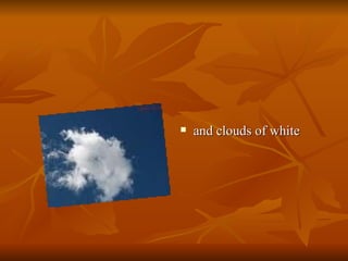 and clouds of white  