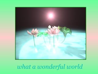 what a wonderful world 