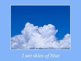 I see skies of blue   