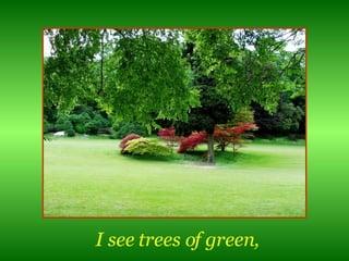 I see trees of green, 