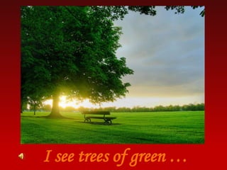 I see trees of green …
 