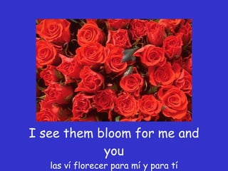 I see them bloom for me and you las ví florecer para mí y para tí 