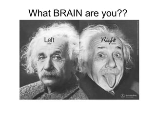 What BRAIN are you??
 