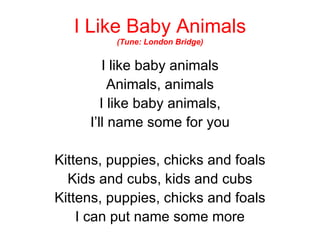 I Like Baby Animals (Tune: London Bridge) I like baby animals Animals, animals I like baby animals, I’ll name some for you Kittens, puppies, chicks and foals Kids and cubs, kids and cubs Kittens, puppies, chicks and foals I can put name some more 