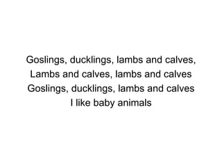 <ul><li>Goslings, ducklings, lambs and calves, </li></ul><ul><li>Lambs and calves, lambs and calves </li></ul><ul><li>Gosl...