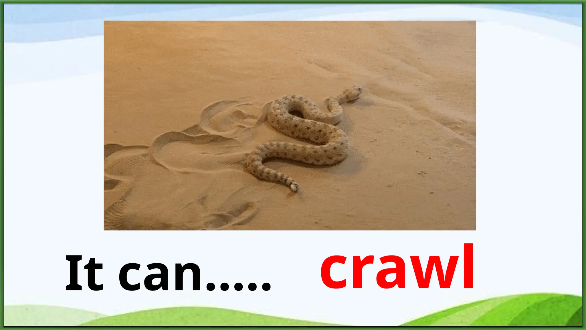 It can..... crawl
 