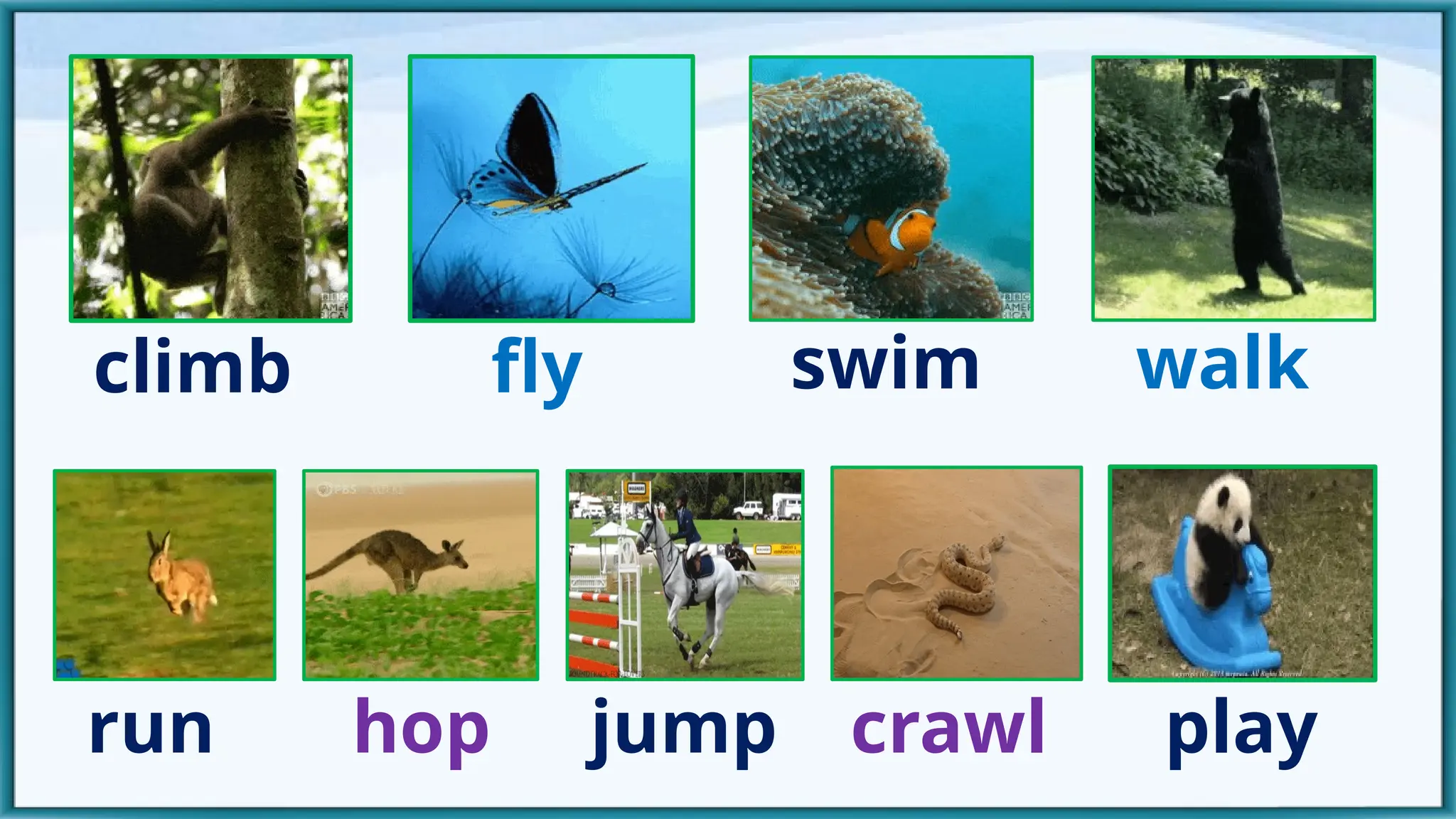 play
climb fly swim walk
crawl
run hop jump
 