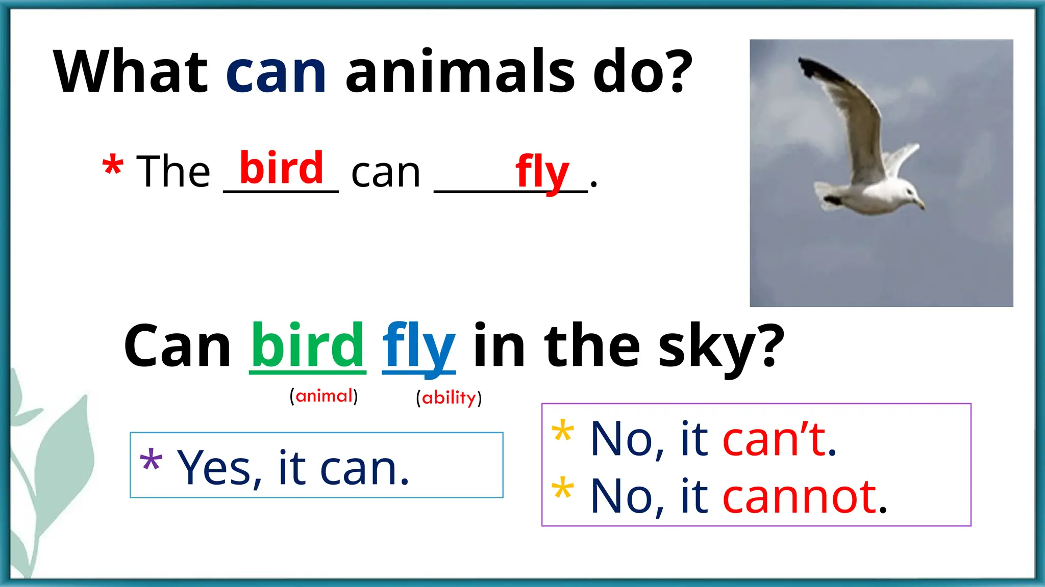 What can animals do?
Can bird fly in the sky?
* No, it can’t.
* No, it cannot.
* Yes, it can.
* The ______ can ________.
bird fly
(ability)
(animal)
 