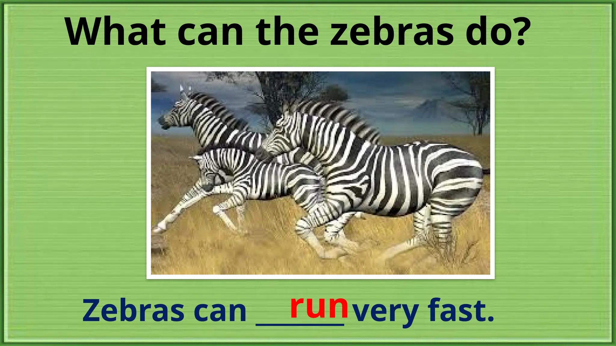 What can the zebras do?
Zebras can _______ very fast.
run
 