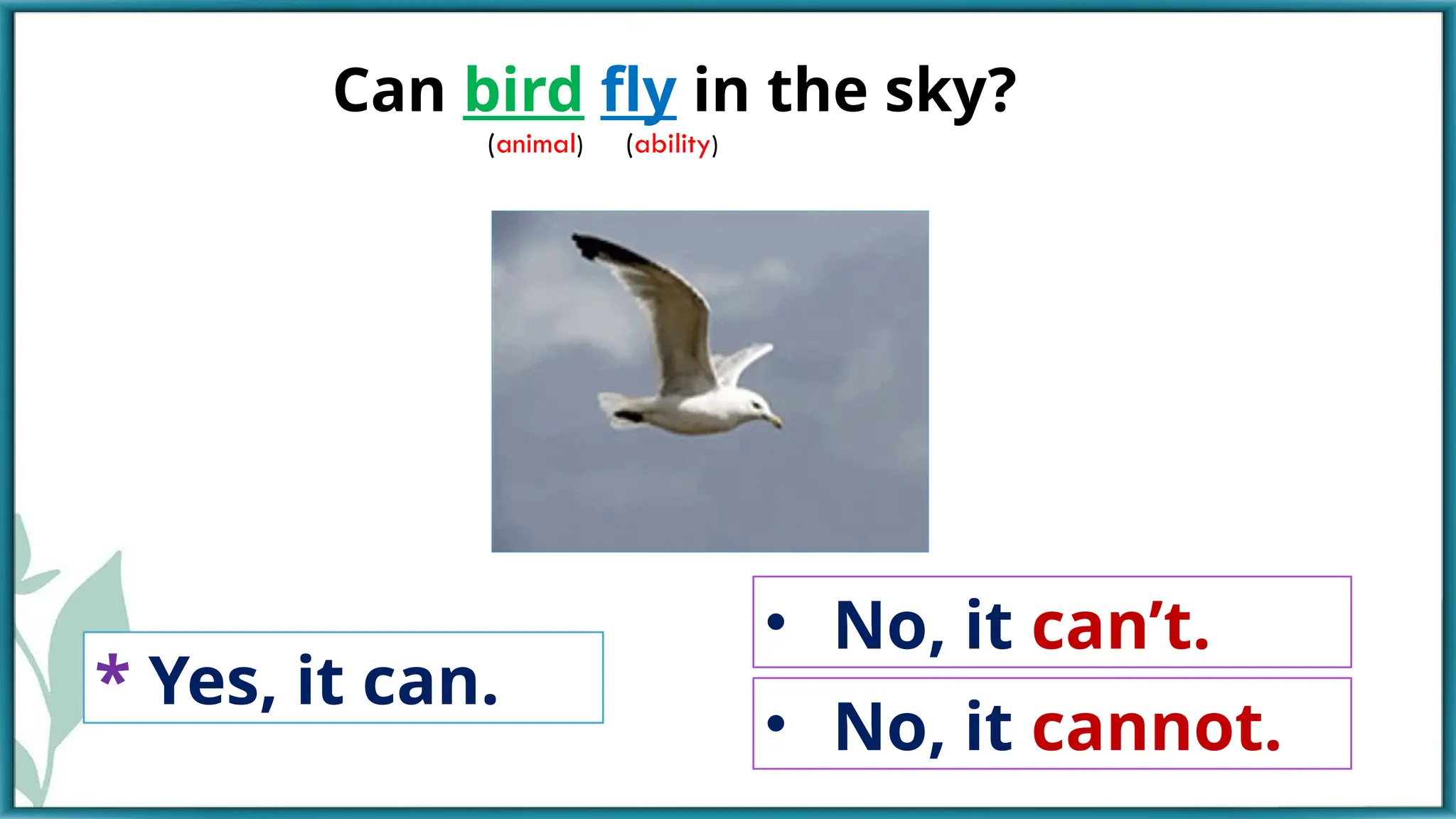 Can bird fly in the sky?
• No, it can’t.
* Yes, it can.
(ability)
(animal)
• No, it cannot.
 