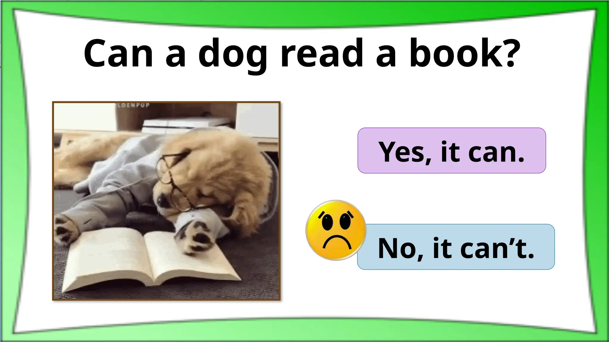Can a dog read a book?
Yes, it can.
No, it can’t.
 
