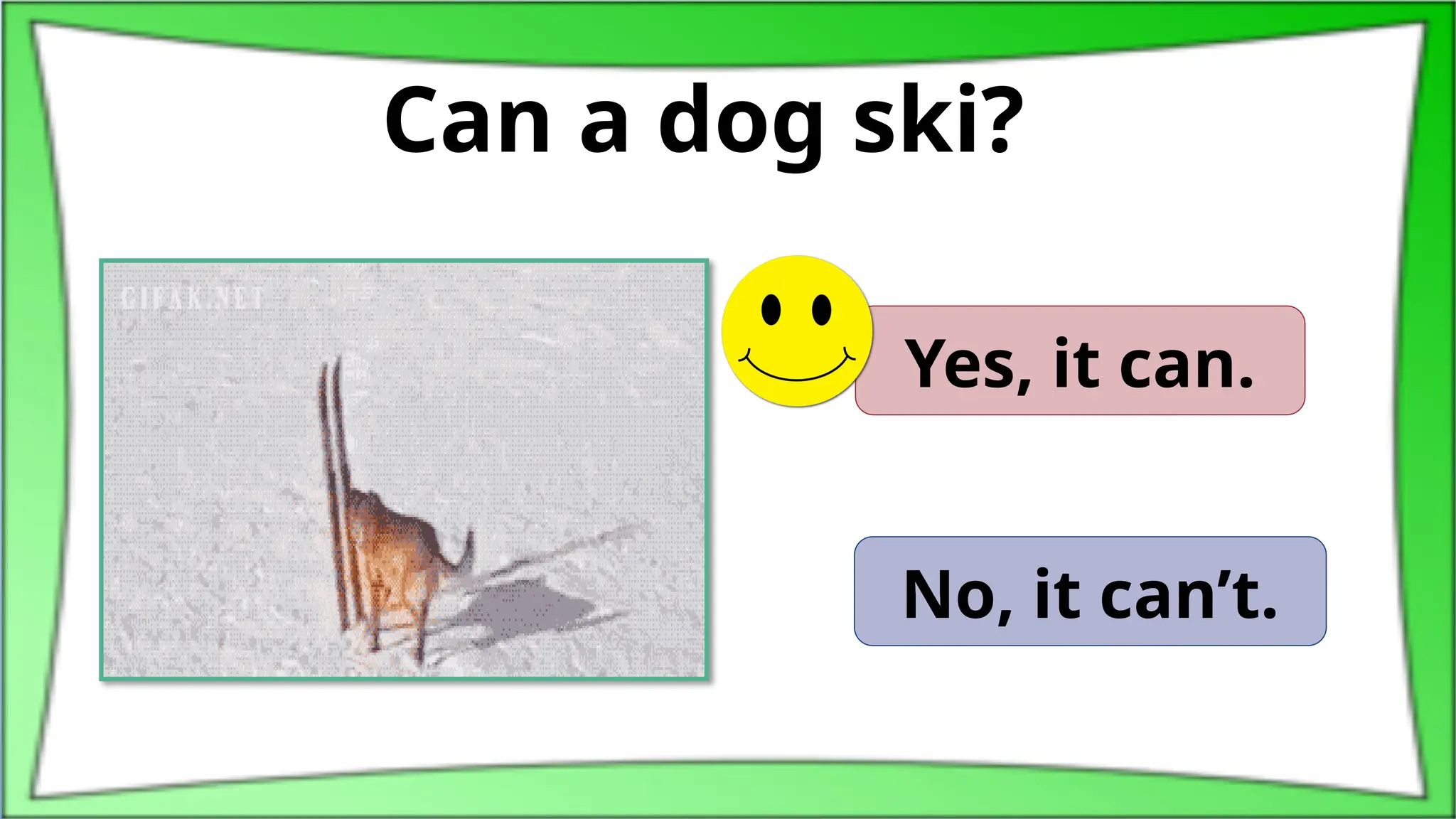 Can a dog ski?
Yes, it can.
No, it can’t.
 