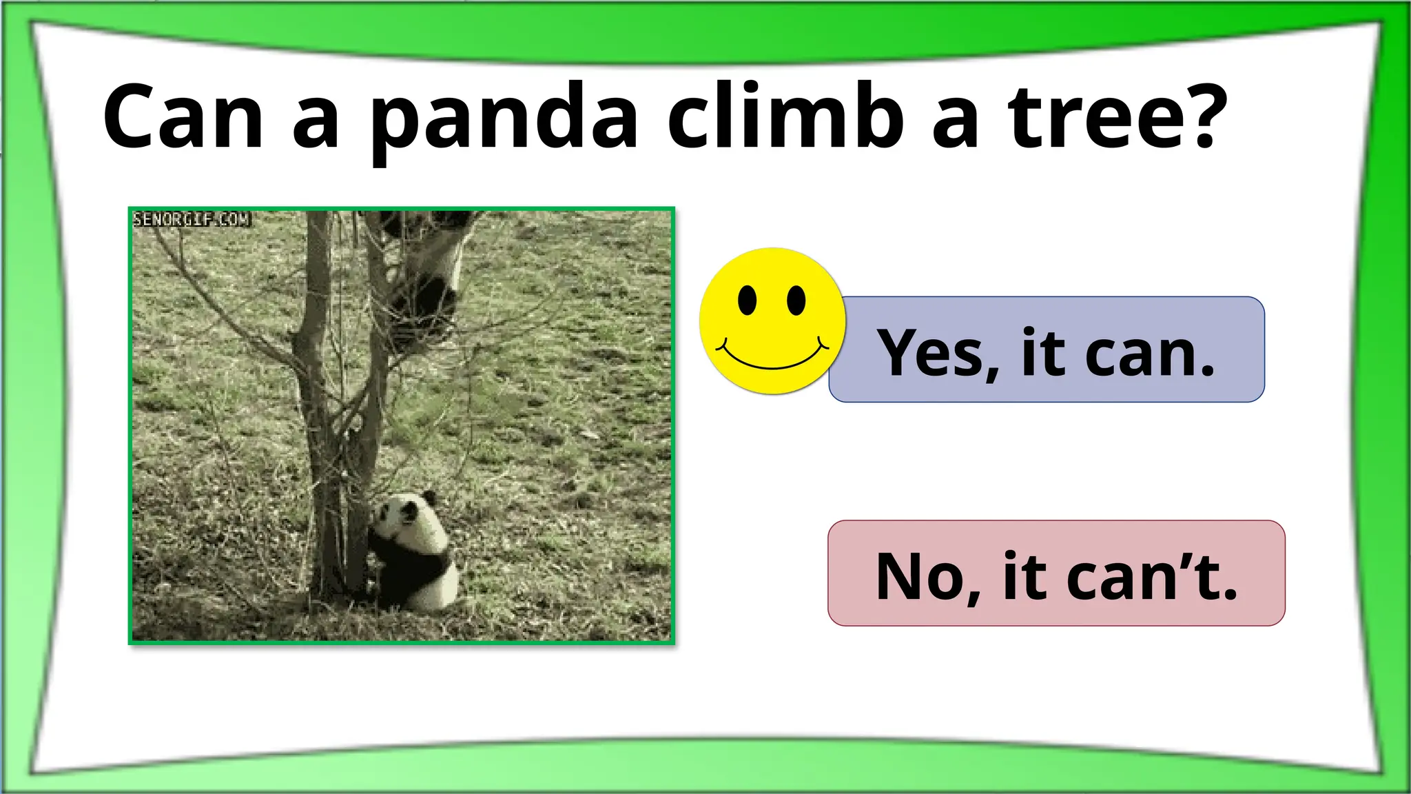 Can a panda climb a tree?
Yes, it can.
No, it can’t.
 
