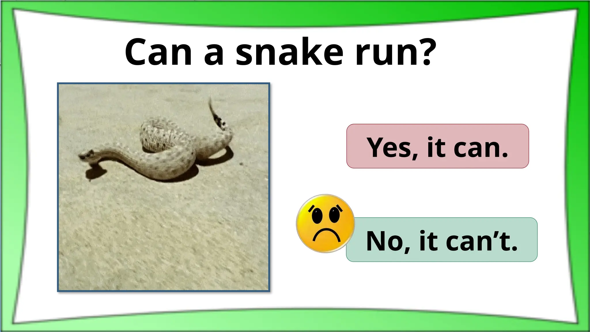 Can a snake run?
Yes, it can.
No, it can’t.
 