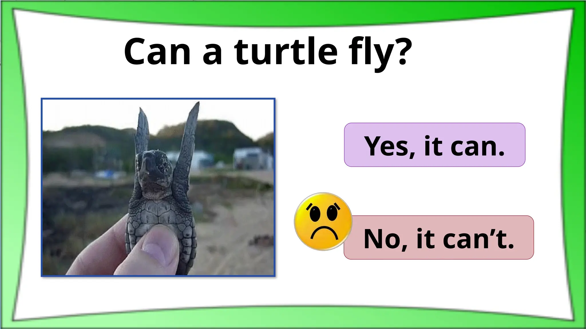 Can a turtle fly?
Yes, it can.
No, it can’t.
 