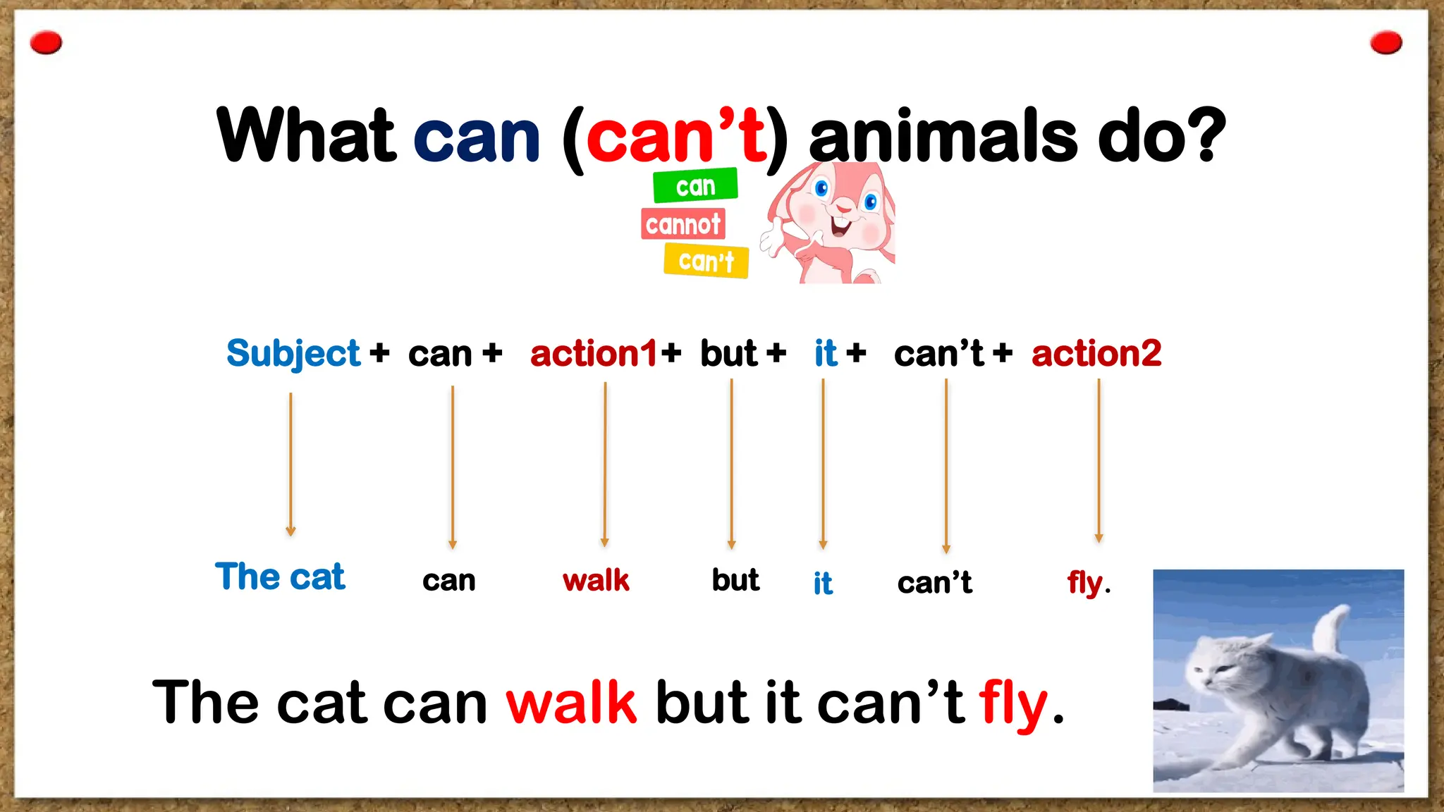 What can (can’t) animals do?
Subject + can + action1+ but + it + can’t + action2
The cat can walk but it can’t fly.
The cat can walk but it can’t fly.
 
