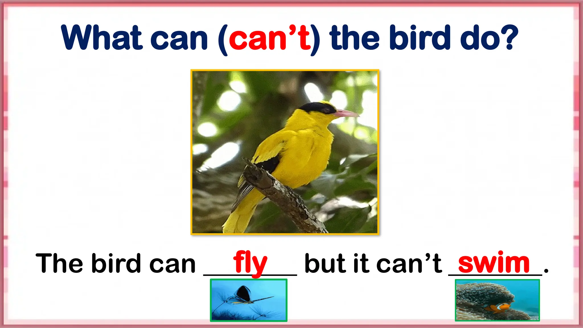 What can (can’t) the bird do?
The bird can _______ but it can’t _______.
fly swim
 