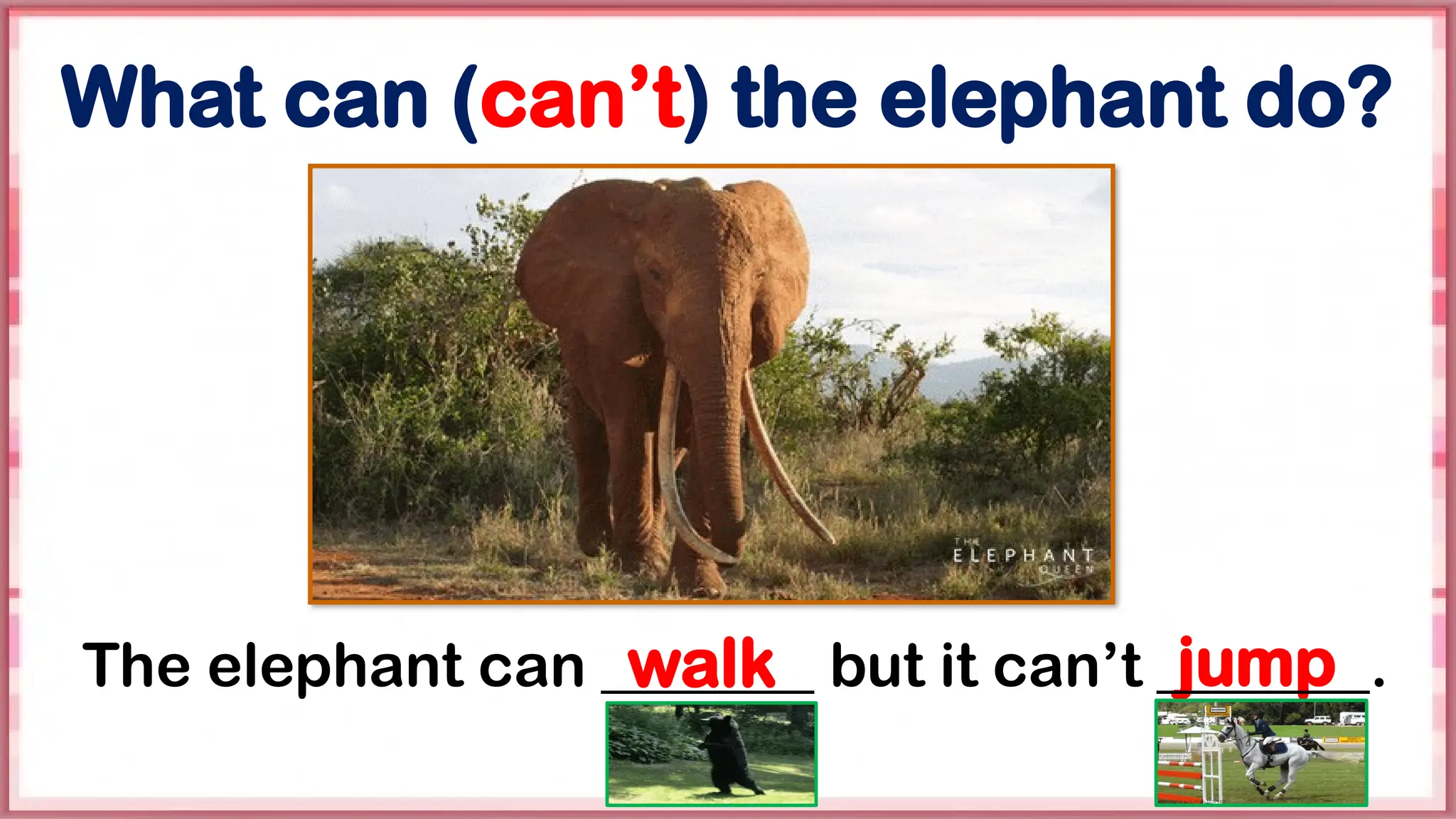 walk jump
What can (can’t) the elephant do?
The elephant can _______ but it can’t _______.
 