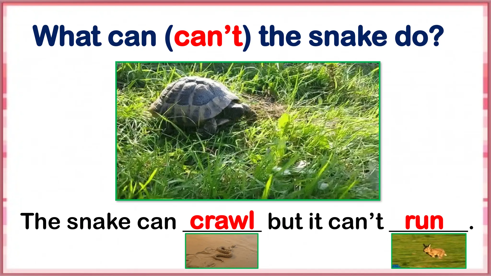 crawl run
What can (can’t) the snake do?
The snake can _______ but it can’t _______.
 
