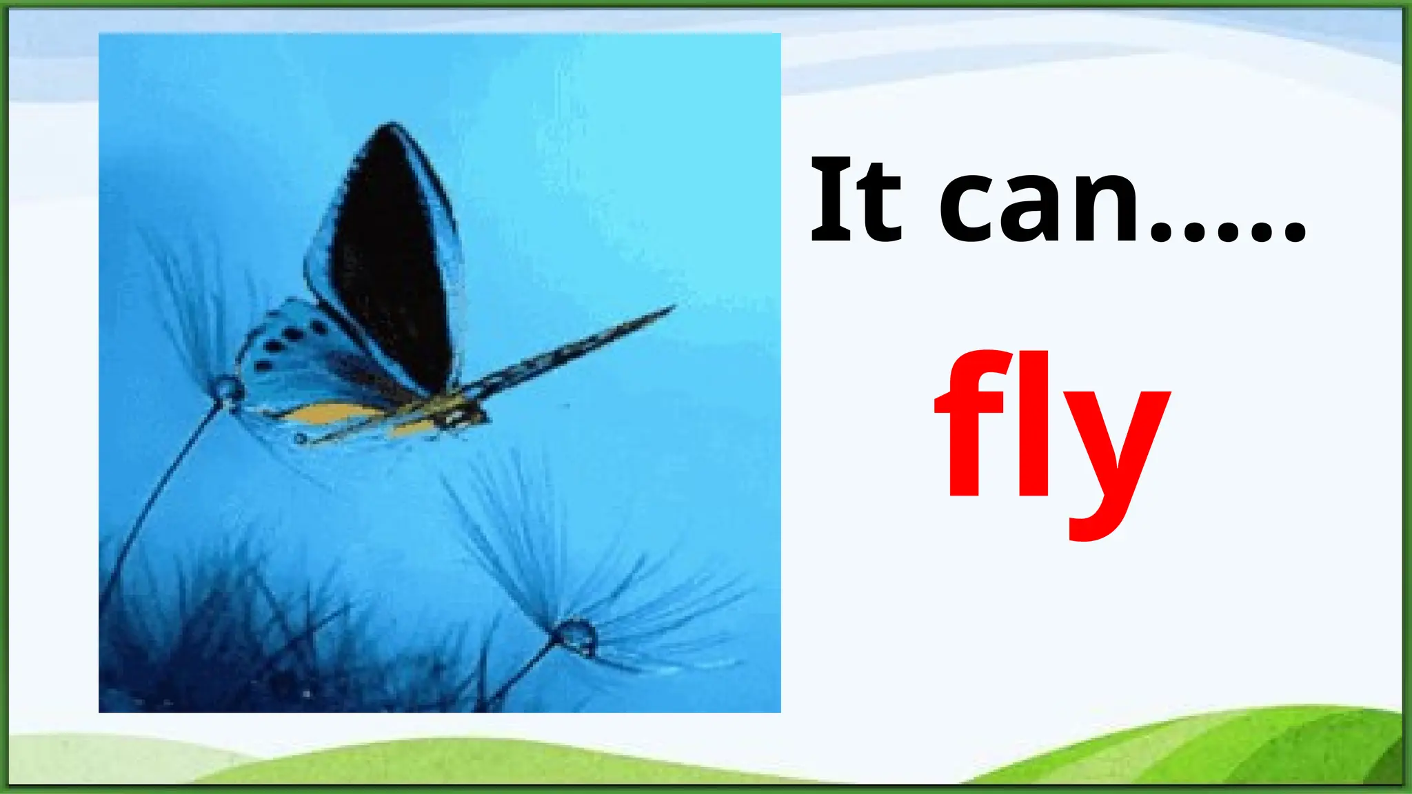 fly
It can.....
 