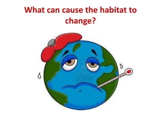 What can cause the habitat to
change?
 