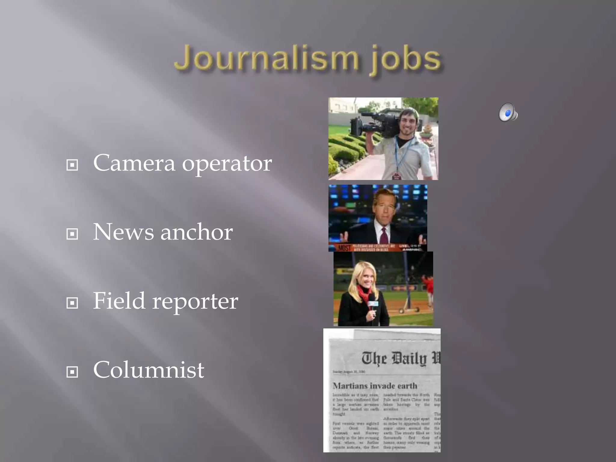    Camera operator

   News anchor

   Field reporter

   Columnist
 