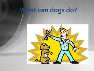 What can dogs do?
 