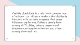 Cystitis glandularis is a relatively common type of urinary tract disease in which the bladder is infected
with bacteria o...