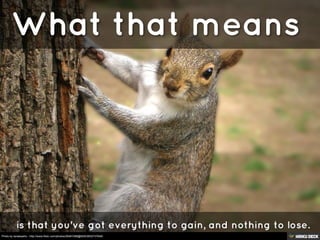 Photo by tanakawho - http://www.flickr.com/photos/28481088@N00/2652737646/
 