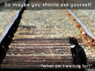 What Can We Do For You?