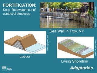 Adaptation
FORTIFICATION:
Keep floodwaters out of
contact of structures
(CindySchultz/TimesUnion)
Sea Wall in Troy, NY
Levee
Living Shoreline
www.nyc.gov/uwas
www.nyc.gov/uwas
 