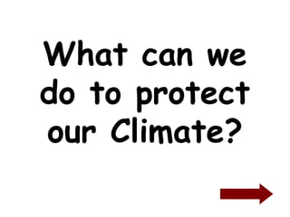 What can we
do to protect
our Climate?
 