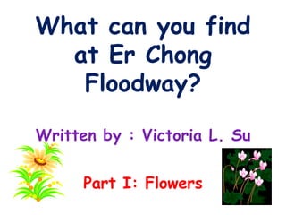 What can you find
  at Er Chong
   Floodway?

Written by : Victoria L. Su


      Part I: Flowers
 
