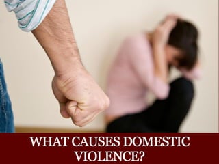 What causes domestic violence