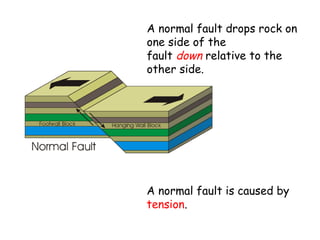 A normal fault drops rock on
one side of the
fault down relative to the
other side.

A normal fault is caused by
tension.

 