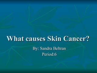 What causes Skin Cancer?  By: Sandra Beltran Period:6 