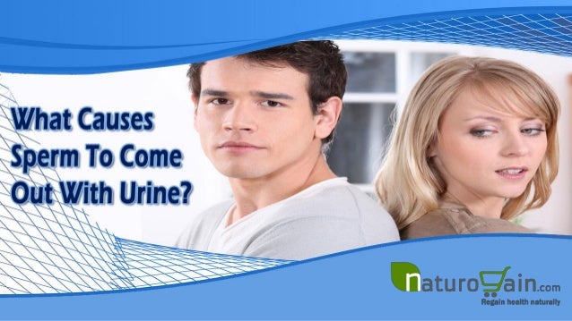 What Causes Sperm To Come Out With Urine And How To Prevent It?
