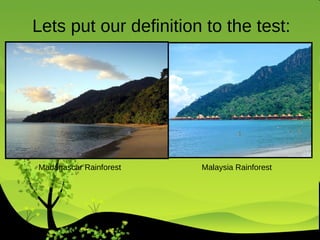Lets put our definition to the test: Madagascar Rainforest  Malaysia Rainforest 