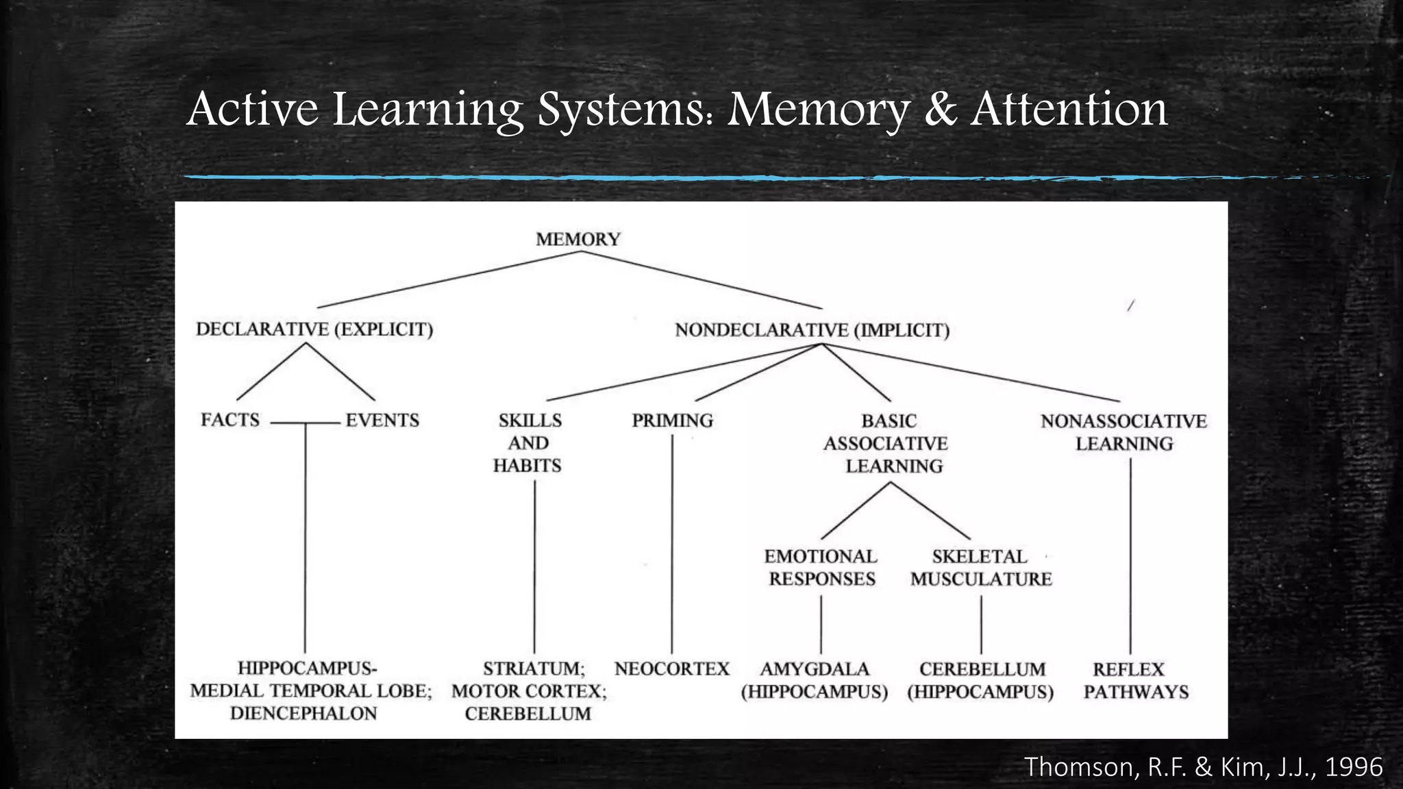 Active Learning Systems: Memory & Attention
Thomson, R.F. & Kim, J.J., 1996
 