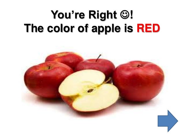 what color is that what color is this