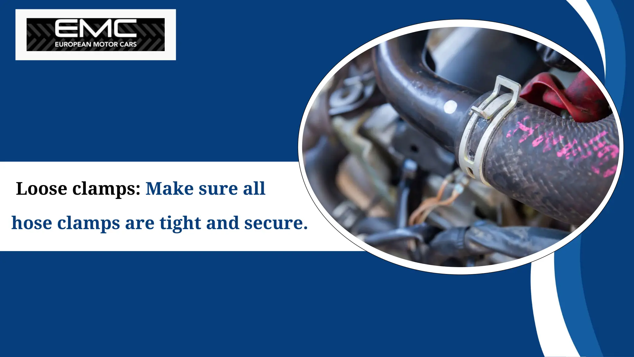 Loose clamps: Make sure all
hose clamps are tight and secure.
 