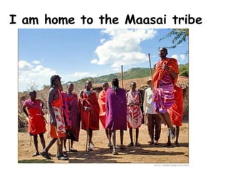 I am home to the Maasai tribe
 