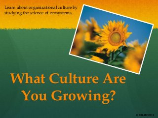 Learn about organizational culture by
studying the science of ecosystems.

What Culture Are
You Growing?
© RELM2 2013

 