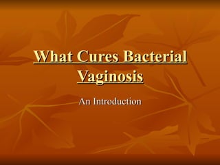 What Cures Bacterial
     Vaginosis
     An Introduction
 