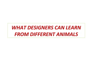 WHAT DESIGNERS CAN LEARN
FROM DIFFERENT ANIMALS
 