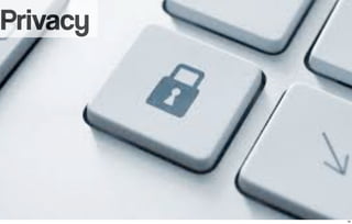Privacy 
29 
 