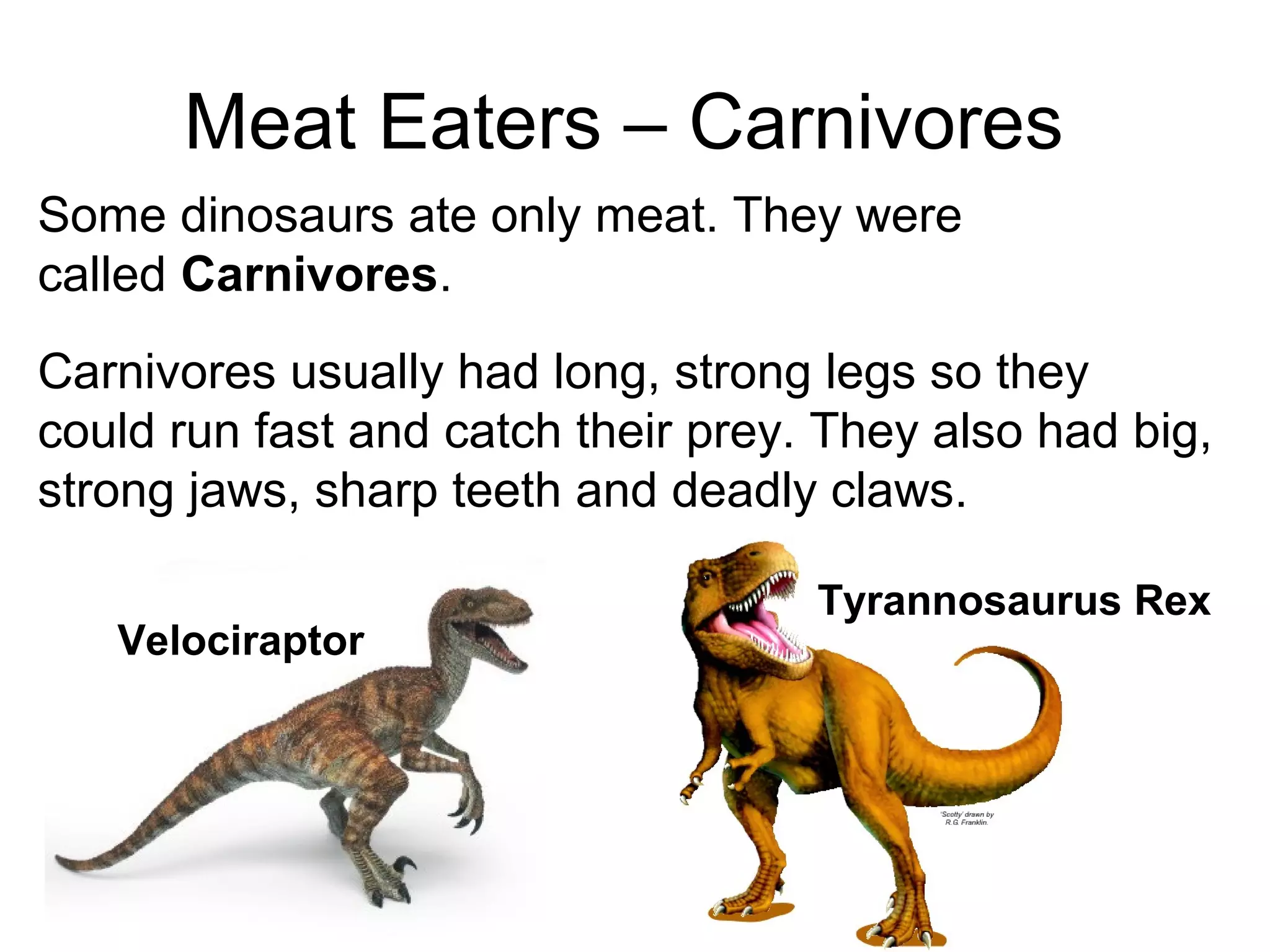 Meat Eaters – Carnivores
Some dinosaurs ate only meat. They were
called Carnivores.
Carnivores usually had long, strong legs so they
could run fast and catch their prey. They also had big,
strong jaws, sharp teeth and deadly claws.
Velociraptor
Tyrannosaurus Rex
 