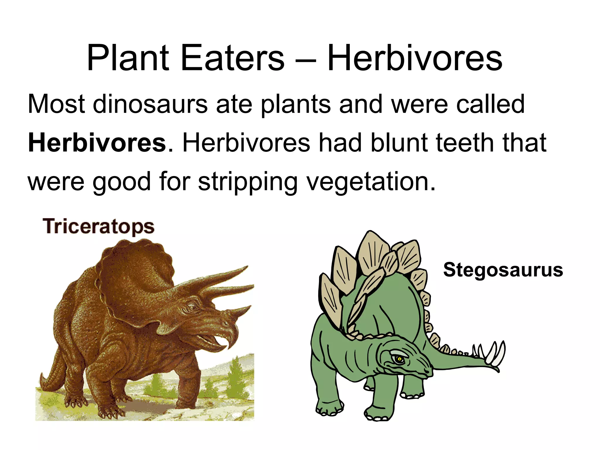 Plant Eaters – Herbivores
Most dinosaurs ate plants and were called
Herbivores. Herbivores had blunt teeth that
were good for stripping vegetation.
Stegosaurus
 