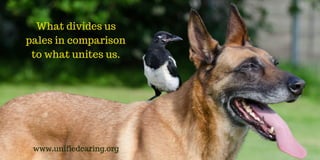 What divides us
pales in comparison
to what unites us.
www.unifiedcaring.org
 