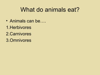 What do animals eat? 
• Animals can be…. 
1.Herbivores 
2.Carnivores 
3.Omnivores 
 